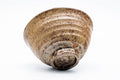 Japanese Matcha Bowl - Rokurome Speckled Irabo-style Chawan - 400ml - angled view showing the body and foot
