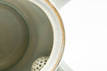 Japanese Kyusu - Bamboo Peacock Kutani-yaki Ceramic Filter Teapot - 400ml - Tezumi