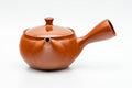 Japanese Kyusu - Classic Red Shudei Tokoname-yaki Mesh Teapot - 290ml - Tezumi