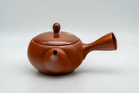 Tezumi — Japanese Kyusu - Kanji Engraved Red Shudei Tokoname-yaki Mesh Teapot - 350ml — top-down view of the lid