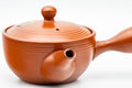 Japanese Kyusu - Spiraling Red Shudei Tokoname-yaki Mesh Teapot - 250ml - three-quarter view with the side handle to the right
