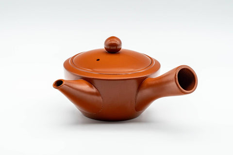 Japanese Kyusu - Small Handmade Tokoname-yaki Mesh Teapot - 160ml