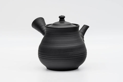 Sujihiki Kokudei Nasu-gata Tokoname Teapot - 270ml