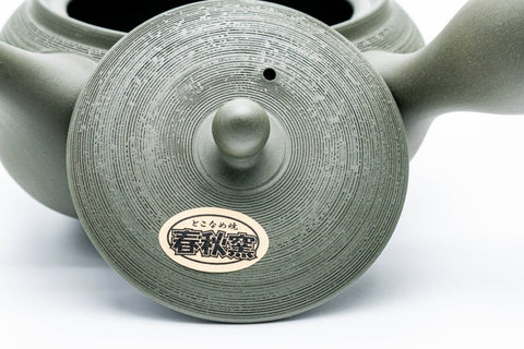 Ryokudei Pine Bark Textured Tokoname Teapot - 320ml