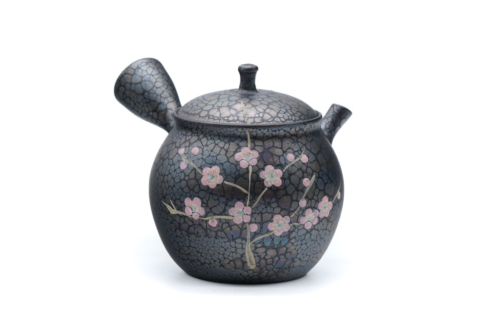 Japanese Kyusu - 梅原昭二 Shōji Umehara - Plum Blossom Tenmoku Tokoname Kokudei Teapot - 260ml