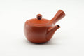 Tezumi — Japanese Tea Set - Kanji Engraved Tokoname-yaki Kyusu Teapot with 5 Yunomi Teacups — the teapot in three-quarter view