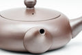Tezumi — Japanese Kyusu - Flat Hira-gata Banko-yaki Debeso Teapot - 160ml — closeup of the decoration