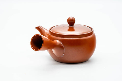 Japanese Kyusu - Classic Red Shudei Tokoname-yaki Mesh Teapot - 350ml