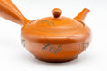 Japanese Kyusu - Leaf Engraved Mesh Strainer Tokoname-yaki Teapot - 225ml - Tezumi