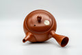 Tezumi — Japanese Kyusu - Kanji Engraved Red Shudei Tokoname-yaki Mesh Teapot - 350ml — interior view showing the filter