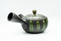Three-quarter view emphasizing the hollow side handle of the kyusu.