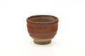 Tezumi — Japanese Teacup - Orange Shino Glazed Yunomi - 75ml — front view from another angle