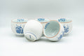 Japanese Tea Set - Blue Floral White Matte Glazed Arita-yaki Debeso Kyusu Teapot with 5 Yunomi Teacups - Tezumi
