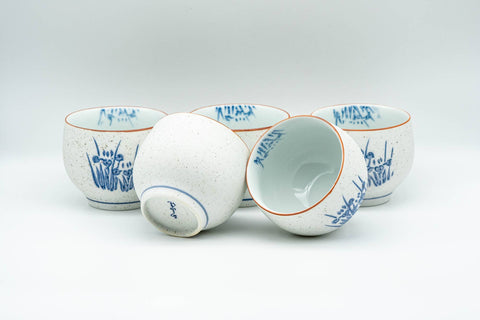 Japanese Tea Set - Blue Floral White Matte Glazed Arita-yaki Debeso Kyusu Teapot with 5 Yunomi Teacups - Tezumi