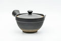 Japanese Kyusu - Black Matte Glazed Sasame Ceramic Filter Teapot - 400ml - Tezumi