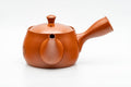 Tezumi — Japanese Kyusu - Large Mountain Engraved Tokoname-yaki Teapot - 550ml — three-quarter view from the opposite side