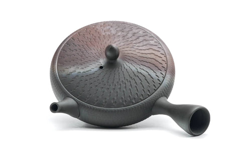 Wide Flat Kokudei Yōhen Tokoname Teapot - 100ml