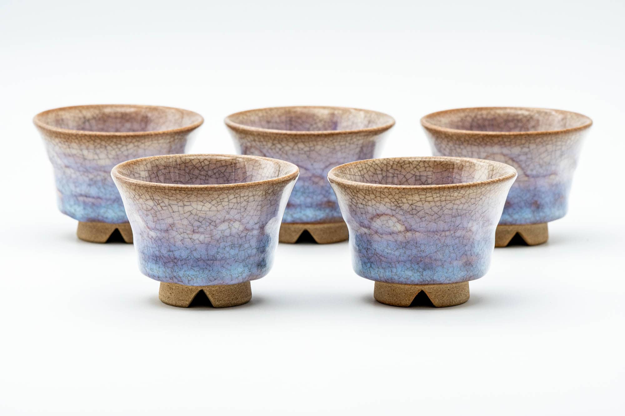 Japanese Tea Set - Purple Glazed Hagi-yaki Kyusu Teapot with 5 Yunomi Teacups