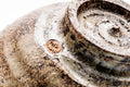Japanese Matcha Bowl - Rokurome Speckled Irabo-style Chawan - 400ml - closeup of the base showing the foot and speckled clay