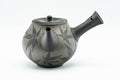K623 Japanese Kyusu -  - 300ml - Tezumi