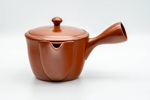 Tezumi — Japanese Kyusu - Plum Blossom Engraved Tokoname-yaki Mesh Teapot - 300ml — three-quarter view from the opposite side