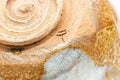 Japanese Matcha Bowl - Yellow White Drip-Glazed Shigaraki-yaki Chawan - 300ml - closeup of the underside foot ring and clay texture