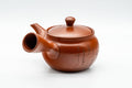 Japanese Kyusu - Calligraphy Engraved Tokoname-yaki Mesh Teapot - 260ml - Tezumi