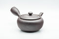 Tezumi — Japanese Kyusu - Engraved Banko-yaki Obi-ami 360 Strainer Teapot - 325ml — side view with the lid and side handle