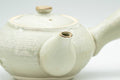 Tezumi — Japanese Kyusu - Beige Foliage Kiyomizu-yaki Debeso Teapot - 300ml — closeup of the decoration