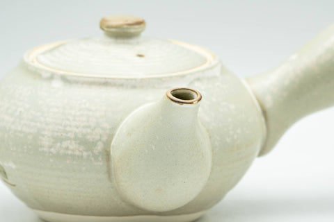 Tezumi — Japanese Kyusu - Beige Foliage Kiyomizu-yaki Debeso Teapot - 300ml — closeup of the decoration