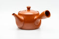 Tezumi — Japanese Kyusu - Large Mountain Engraved Tokoname-yaki Teapot - 550ml — side view showing the spout