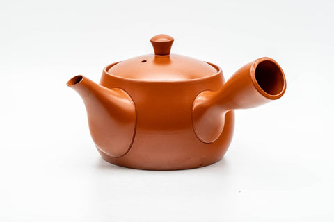 Tezumi — Japanese Kyusu - Large Mountain Engraved Tokoname-yaki Teapot - 550ml — side view showing the spout