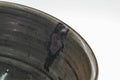 Tezumi — Japanese Matcha Bowl - Brown Green Hakeme White Glazed Chawan - 300ml — tipped to show the interior