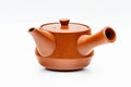 Front view of the teapot showing the spout and rounded body.