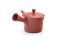Tezumi — Japanese Kyusu - Bamboo Engraved Tokoname Mesh Teapot - 260ml — top-down view of the lid