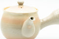 Tezumi — Japanese Kyusu - Beige Pink Glazed Hagi-yaki Do-ake Teapot - 220ml — closeup of the decoration