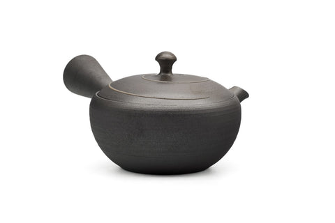 Spiraling Metallic Tokoname Teapot - 240ml