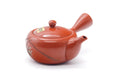 Tezumi — Japanese Kyusu - Long Grass Engraved Tokoname Mesh Teapot - 310ml — top-down view of the lid