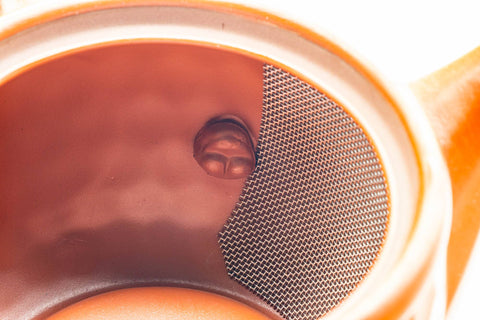 Japanese Kyusu - Scaled Tokoname-yaki Mesh Teapot - 240ml - closeup of the interior wall and mesh straining holes