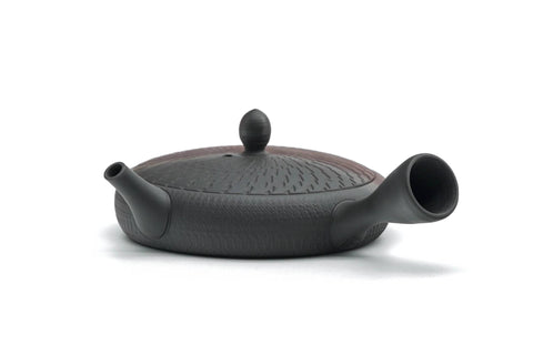 Wide Flat Kokudei Yōhen Tokoname Teapot - 100ml