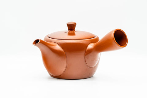 Japanese Kyusu - Classic Red Shudei Tokoname-yaki Mesh Teapot - 300ml