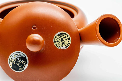 Japanese Kyusu - Classic Red Shudei Tokoname-yaki Mesh Teapot - 275ml
