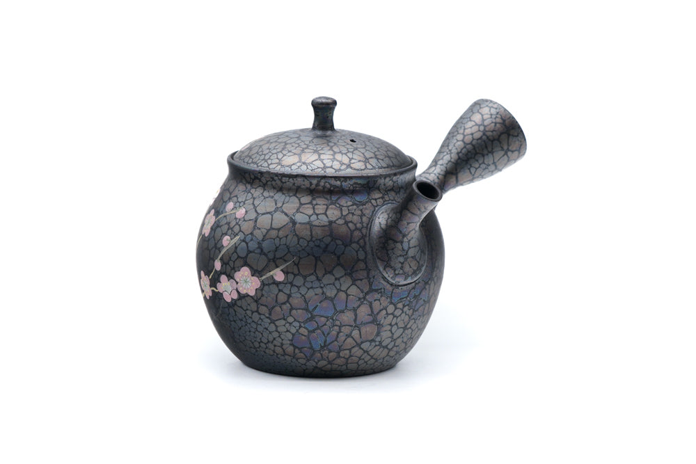 Japanese Kyusu - 梅原昭二 Shōji Umehara - Plum Blossom Tenmoku Tokoname Kokudei Teapot - 260ml