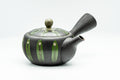 Black Tokoname-yaki kyusu teapot with vertical green geometric stripes, three-quarter view with the side handle at left and spout at right.