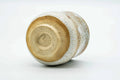 Underside of the teacup, showing the unglazed foot ring.