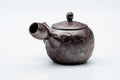 Tezumi — Japanese Kyusu - Engraved Birds Banko-yaki Ceramic Teapot - 150ml — side view showing the spout