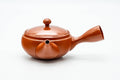 Three-quarter front view of a smooth red shudei Tokoname-yaki kyusu teapot, lid on, side handle at right and spout pointing left.