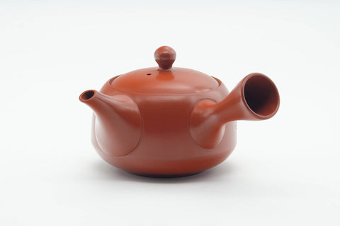 Japanese Kyusu - Calligraphy Engraved Tokoname-yaki Red Shudei Mesh Teapot - 300ml