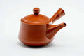 Red shudei Tokoname-yaki side-handle kyusu with a bamboo-shaped handle, lid on, shown from the side.