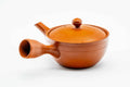 Side view of the wide red kyusu with the handle to the left, lid on.